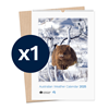 Australian Weather Calendar 2025 - large flatpack