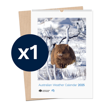 Australian Weather Calendar 2025 - large flatpack