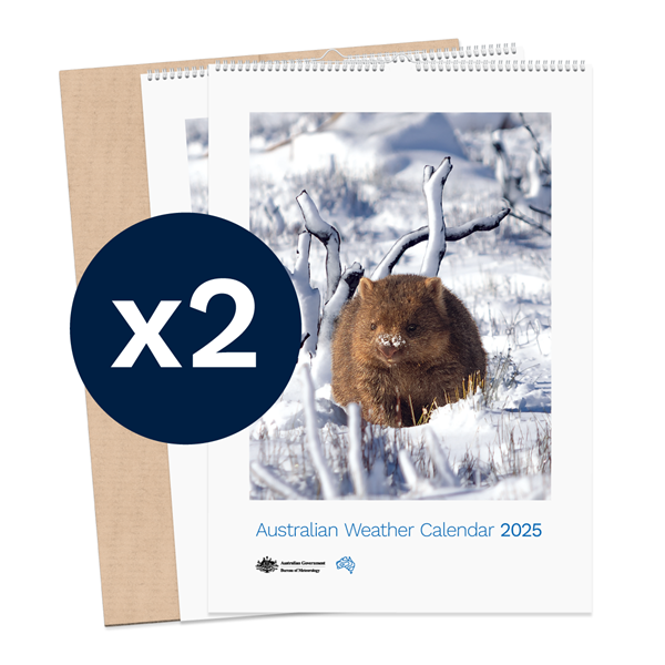 Australian Weather Calendar 2025 - large flatpack x2