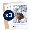 Australian Weather Calendar 2025 - large flatpack x3