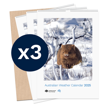 Australian Weather Calendar 2025 - large flatpack x3