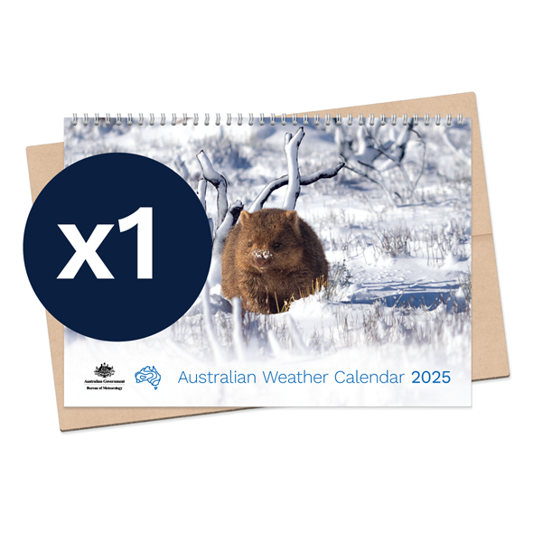 Australian Weather Calendar 2025 – small flatpack
