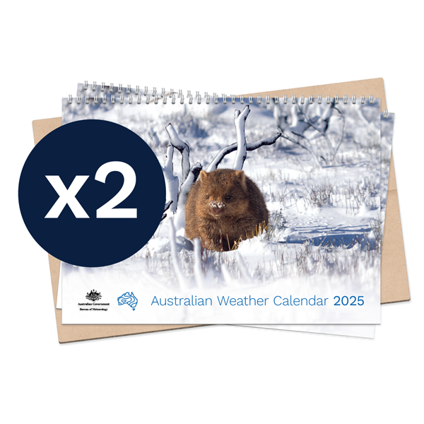 Australian Weather Calendar 2025 – small flatpack x 2