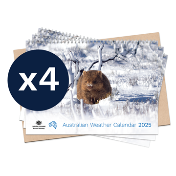 Australian Weather Calendar 2025 – small flatpack x 4