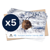 Australian Weather Calendar 2025 – small flatpack x 5
